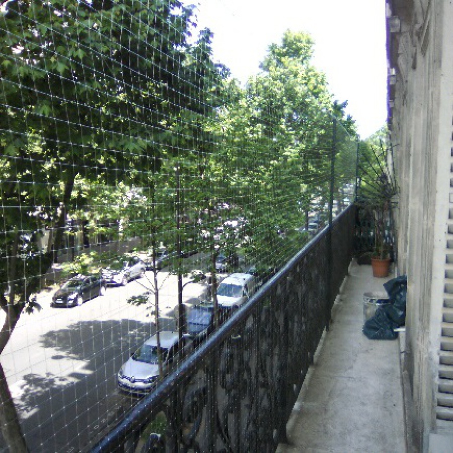 Pose de filet de protection pour chat balcon Salon de Provence